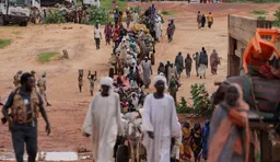 Egyptian, Sudanese foreign ministers discuss efforts to achieve peace in Sudan