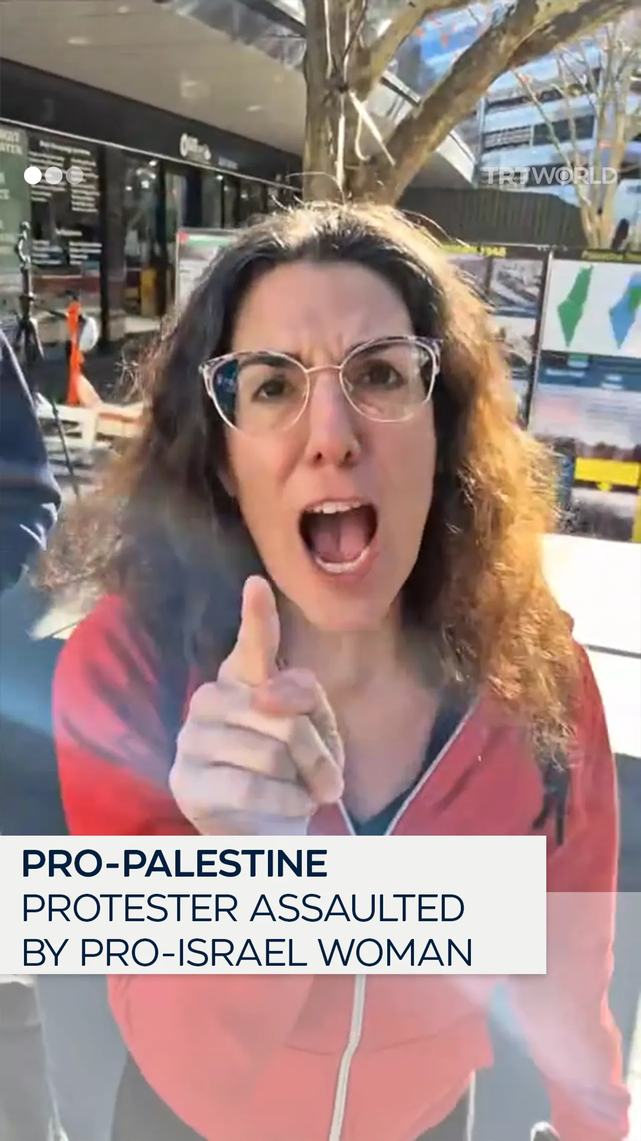 Pro-Palestine protester assaulted by Israel supporter in Australia