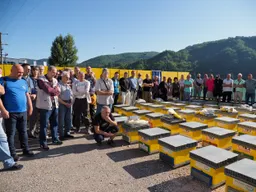 TIKA donirala košnice i opremu pčelarima u Kantonu Sarajevo