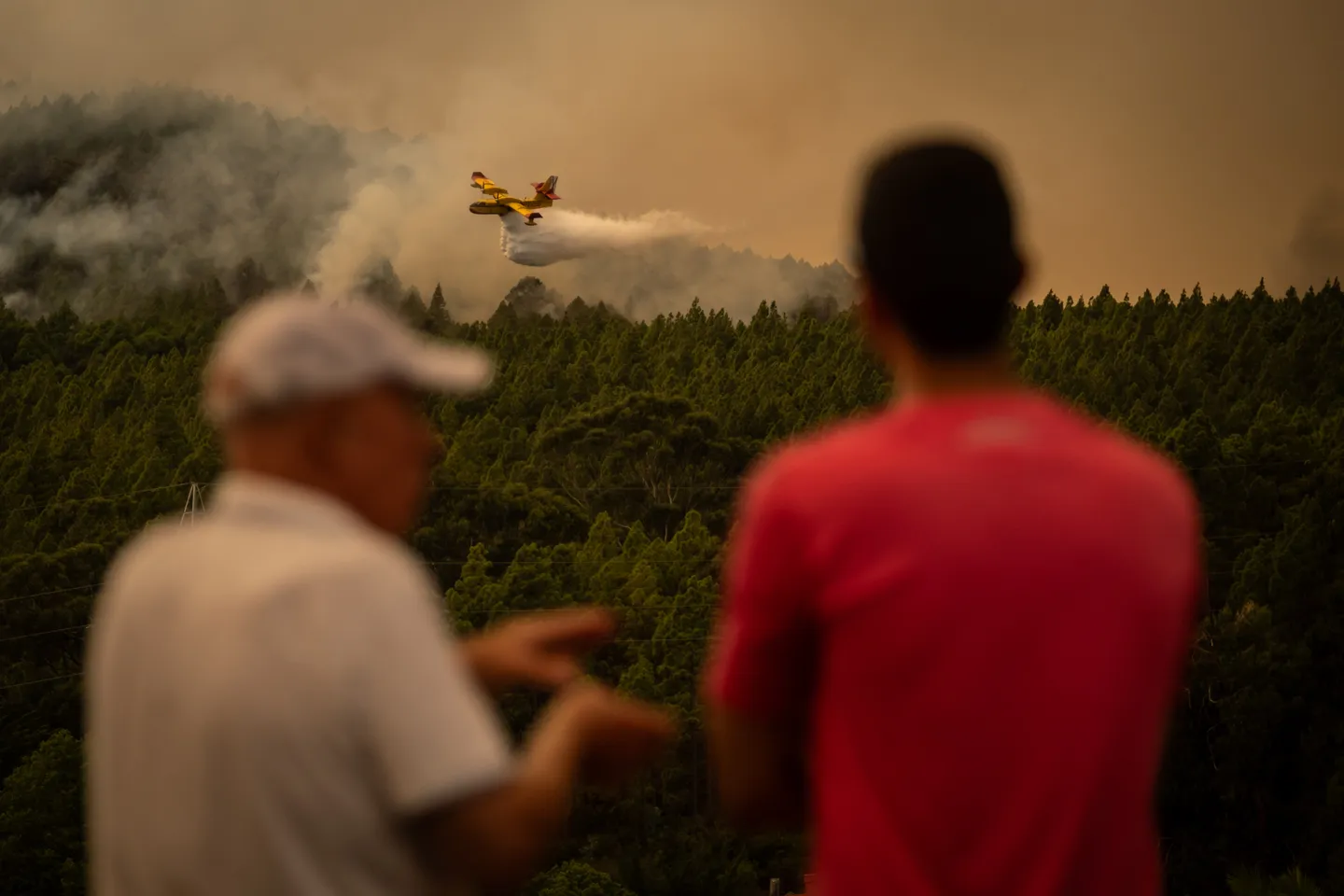 Europe on red alert as countries scorched by record-breaking heat wave