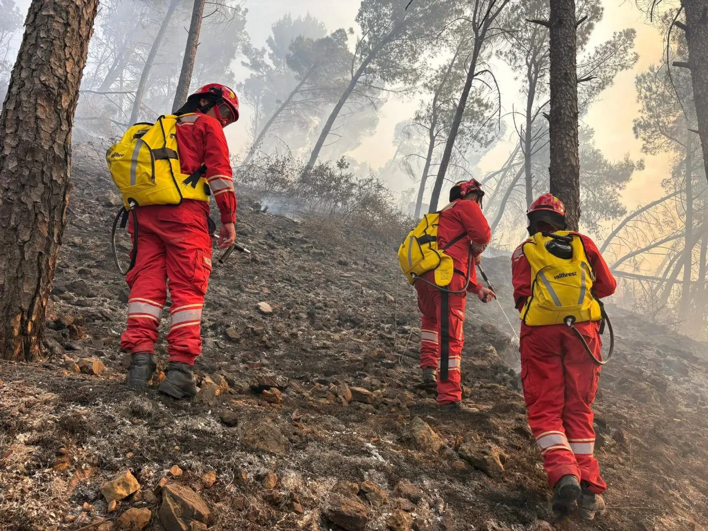 Shqipëri, 2 vatra zjarri ende aktive nga 28 të raportuara