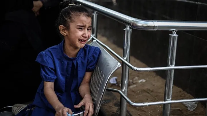 'War on children' in Gaza exposes EU's double talk on human rights: group