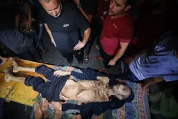 UN rapporteur denounces Israel for 'starving millions' in Gaza