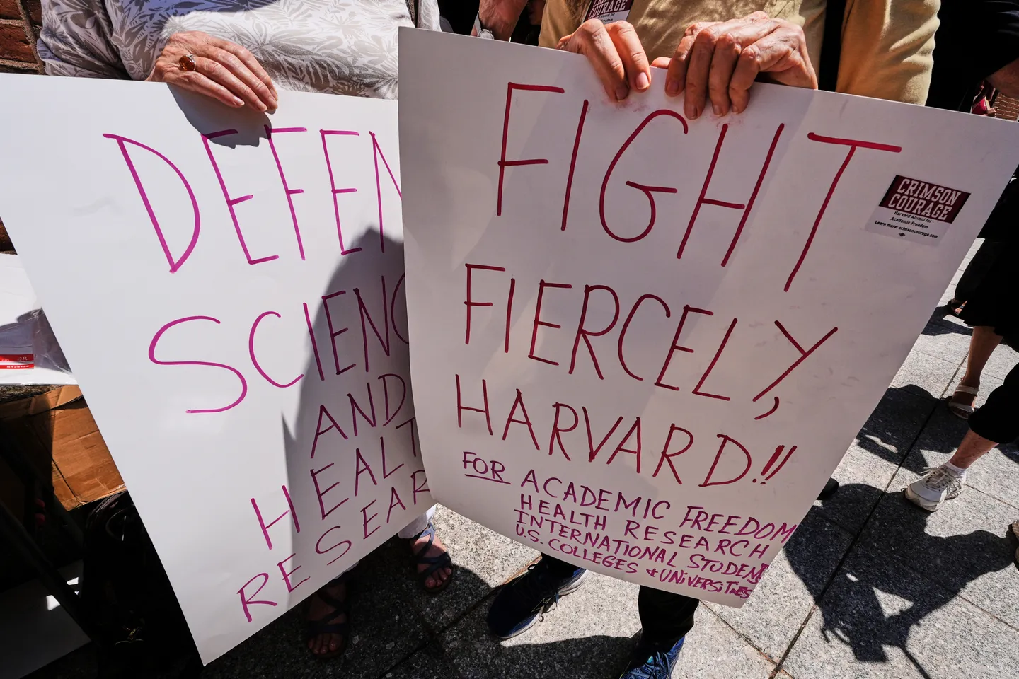 Harvard scientists warn of major setbacks after Trump halts research funding