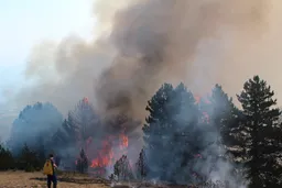 Vetëm javën e fundit në Kosovë u paraqitën mbi 320 raste të zjarreve
