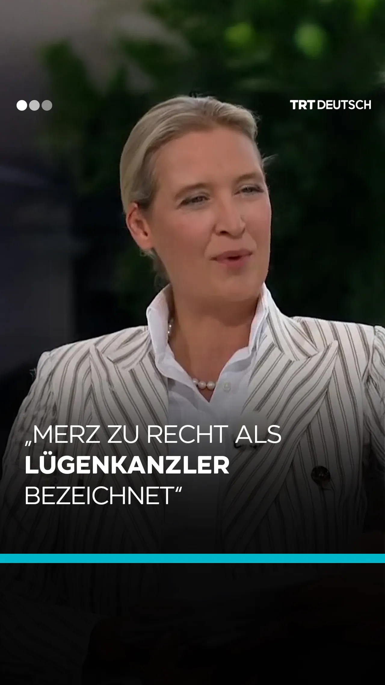 „Merz zu Recht als Lügenkanzler bezeichnet“