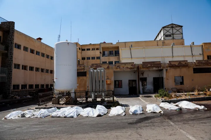 Syria launches urgent probe into field executions in Sweida