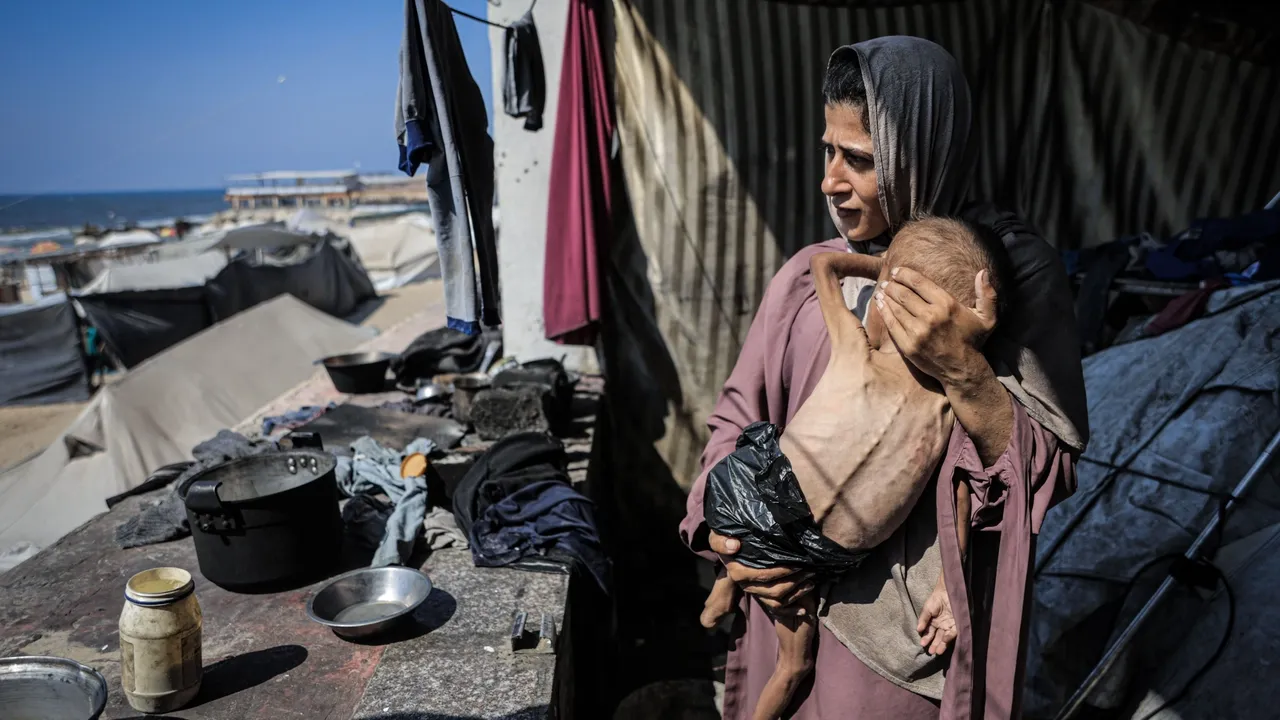 Chefe da política externa da UE: 'Assassinato de civis que procuravam ajuda em Gaza é indefensível'