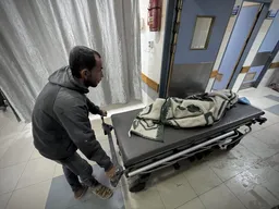 Over 100 NGOs warn of 'mass starvation' sweeping besieged Gaza