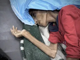 Gaza: plus de 100 ONG exigent un cessez-le-feu immédiat et avertissent contre une “famine massive”