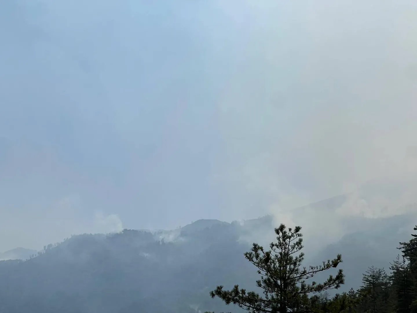 Hrvatska poslala kanader kao pomoć Albaniji u gašenju požara