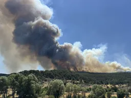 Ten people martyred in wildfires in Türkiye's Eskisehir: Forestry minister