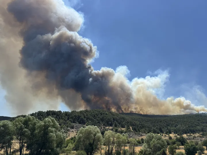 Ten people martyred in wildfires in Türkiye's Eskisehir: Forestry minister