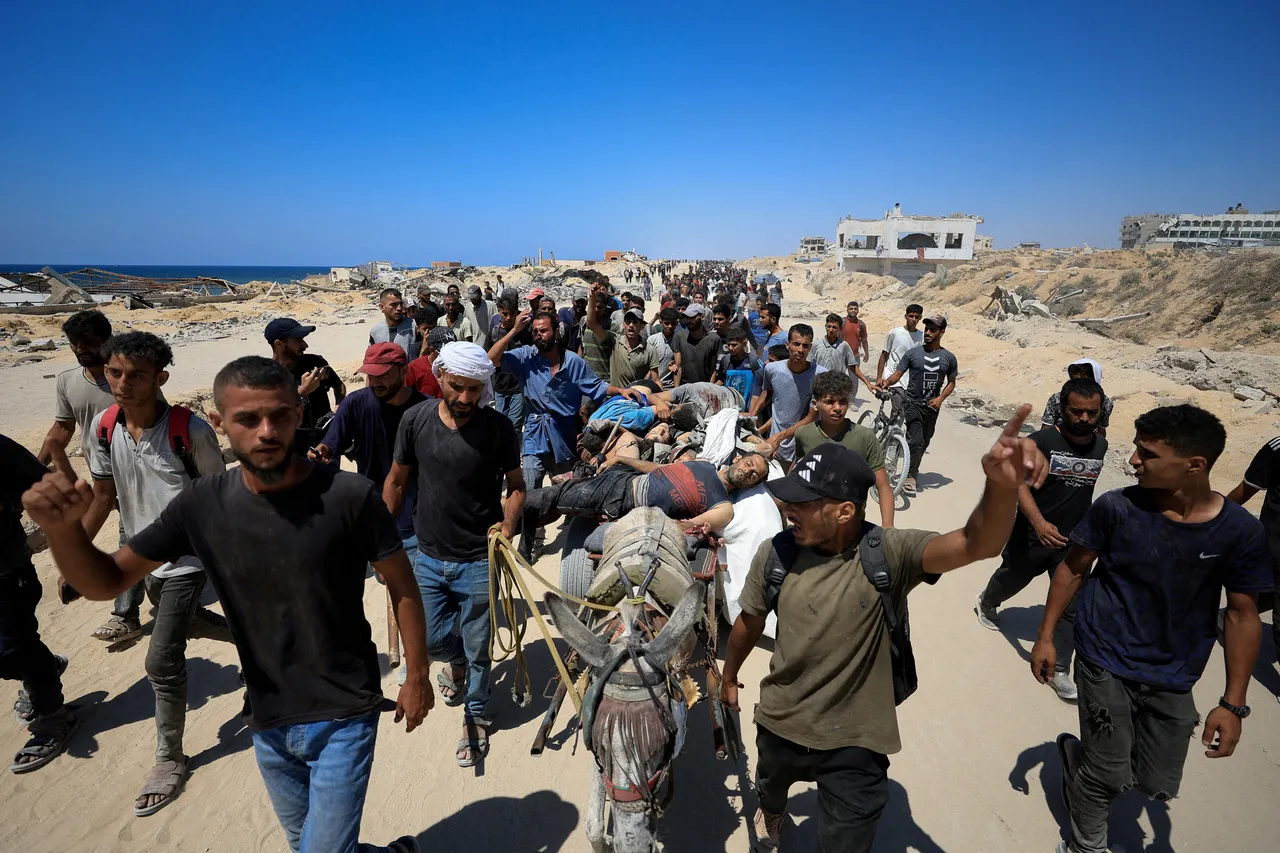 האו"ם: "הפסקת אש זמנית בעזה אינה מספיקה – יש צורך בהפסקת אש קבועה"