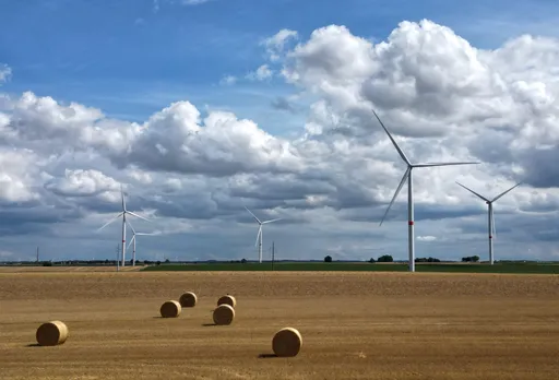 Europees Milieuagentschap: België moet versnellen met energietransitie en natuurherstel