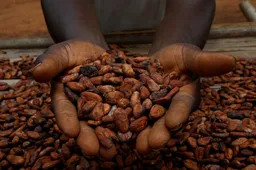 Gwamnatin Ghana ta ƙara farashin da manoma za su sayar da cocoa