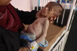 Democrats urge Trump to address Gaza starvation, slam GHF for contributing to Palestinian death toll
