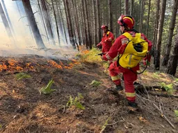 Në Shqipëri 10 vatra zjarri ende aktive, vazhdojnë operacionet për shuarjen e tyre