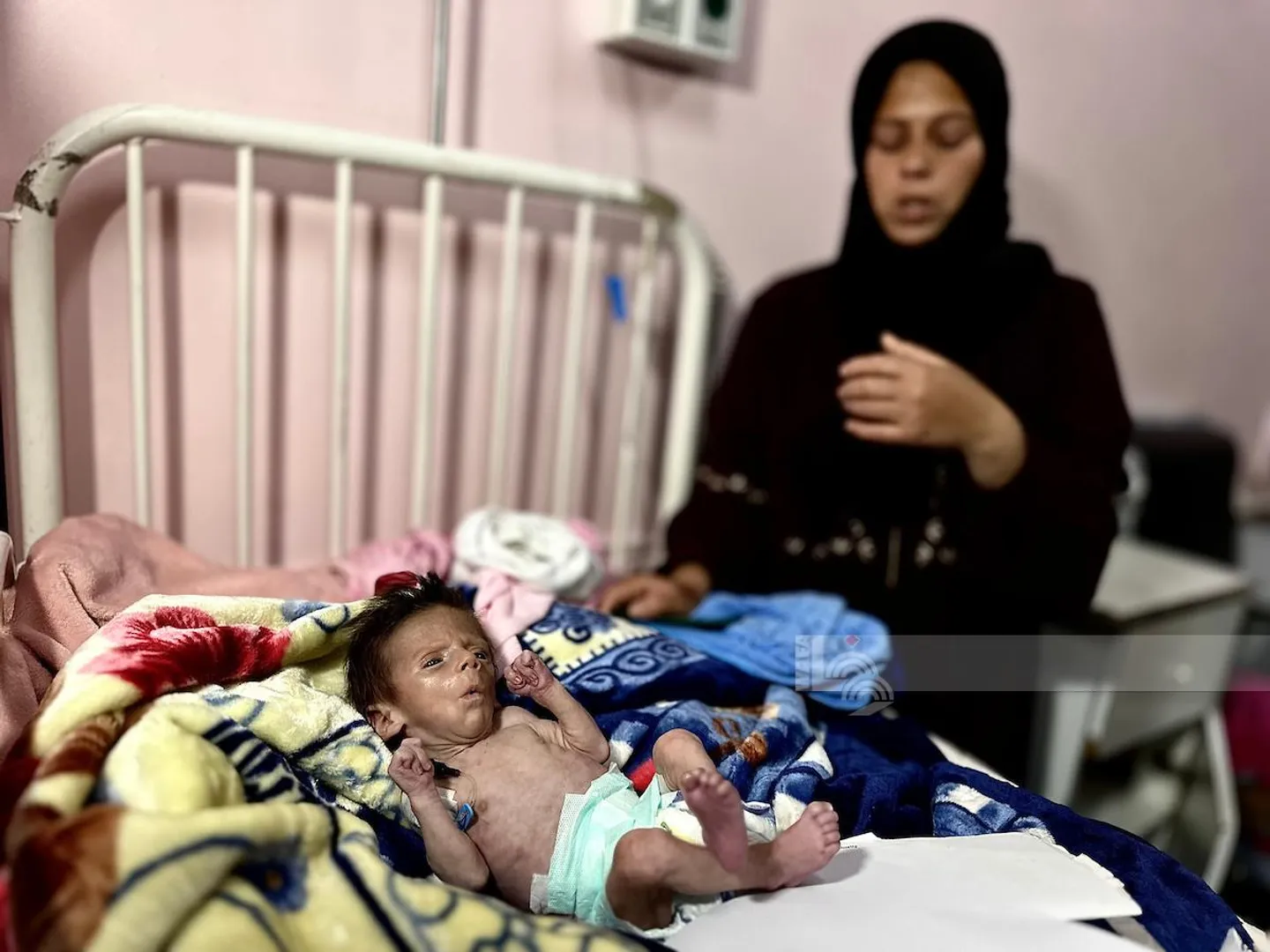 Gaza muere de hambre: ONU denuncia hambruna “construida y deliberada” por Israel