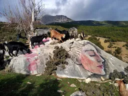 Busra Ogut, la artista que en Türkiye tiene un don para transformar la naturaleza en obras de arte