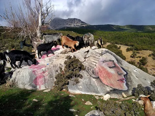 Busra Ogut, la artista que en Türkiye tiene un don para transformar la naturaleza en obras de arte