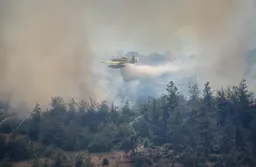 Türkiye battles deadly wildfires as extreme heat fuels crisis across Europe