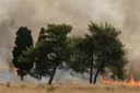 Italija šalje avione za gašenje požara u Crnu Goru