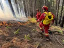Dron Bayraktar snimio osobu dok podmeće požar u Albaniji