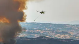Türkiye brings all 55 wildfires under control as cooling operations continue