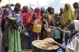 Ripoti ya UN inaonyesha ongezeko la kutisha la uhaba wa chakula barani Afrika licha ya maendeleo