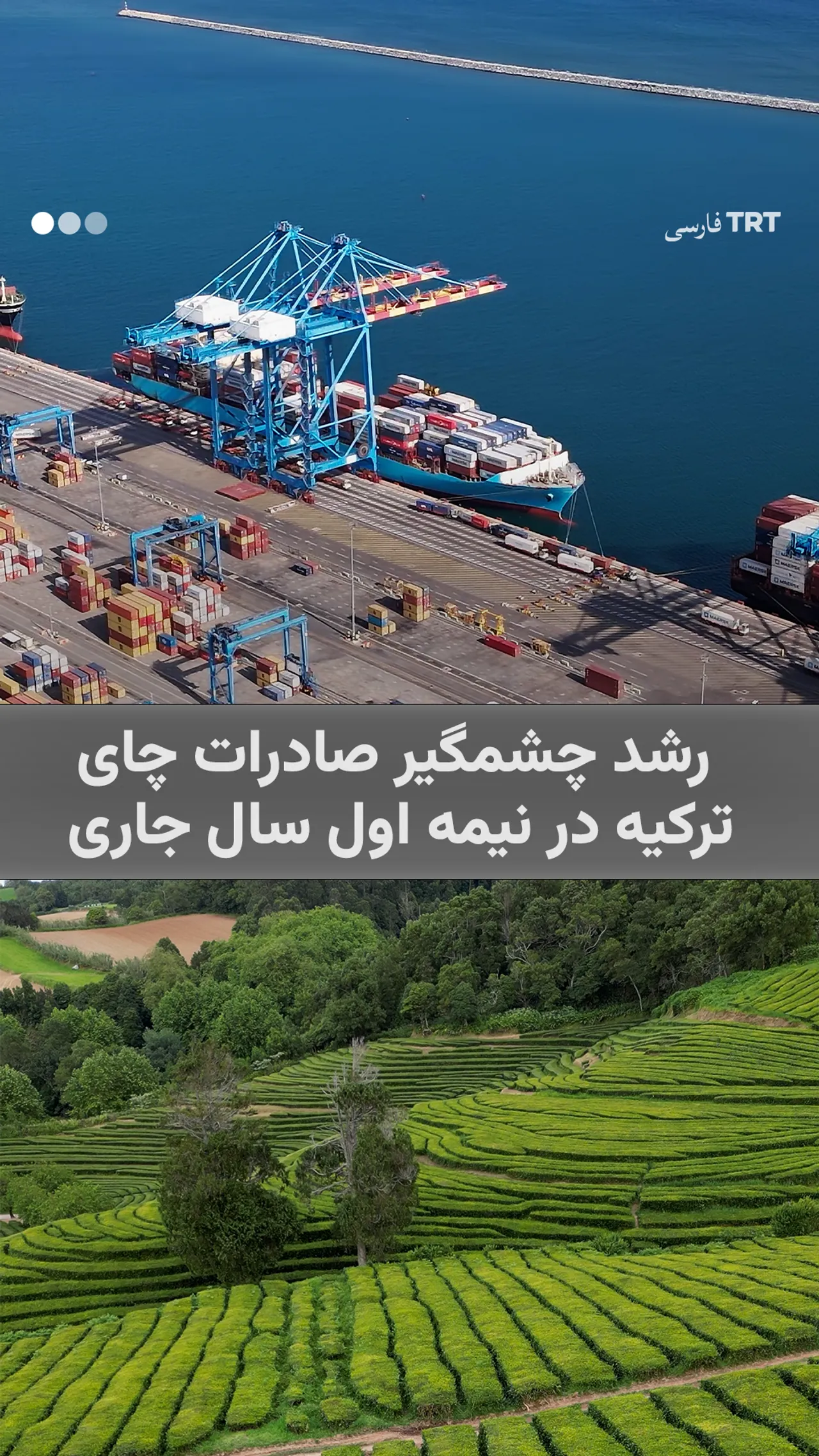 رشد چشمگیر صادرات چای ترکیه در نیمه اول سال جاری