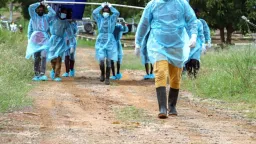 Zambia declares an end of cholera outbreak
