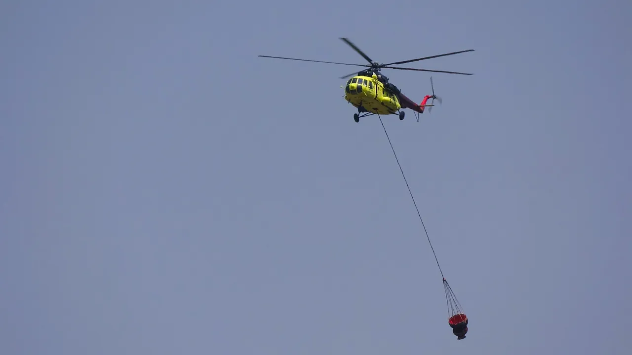 مهار کامل ۵۵ مورد آتش‌سوزی جنگلی در ترکیه