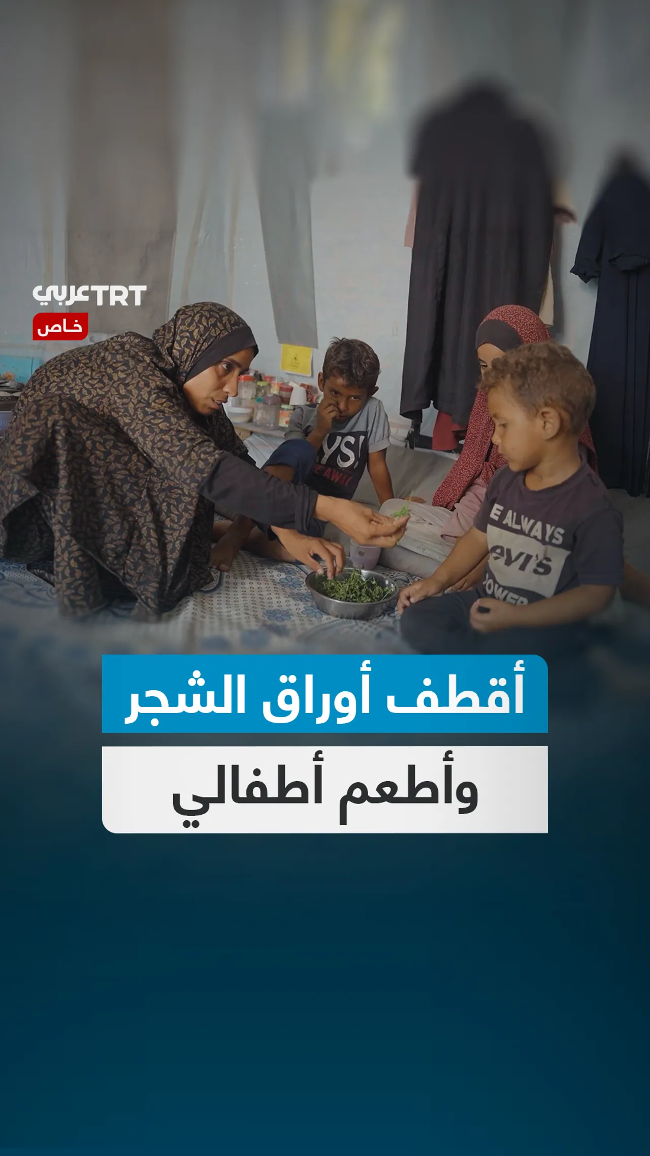 أقطف أوراق الشجر
وأطعم أطفالي