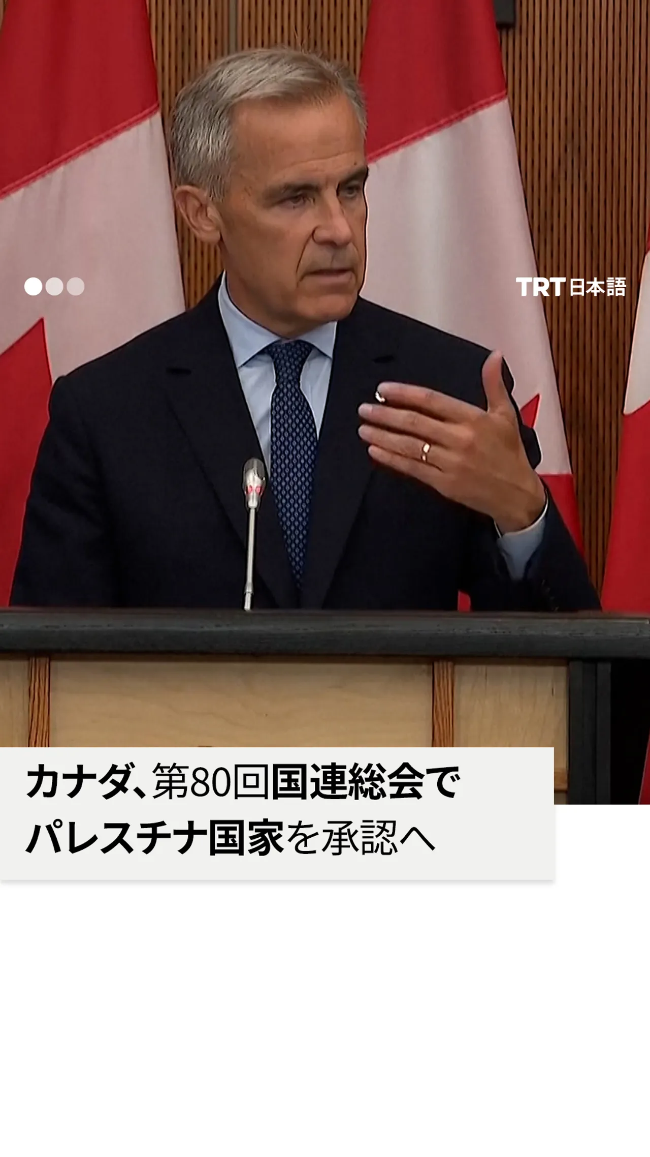 カナダ、9月の国連総会で
パレスチナ国家を承認へ