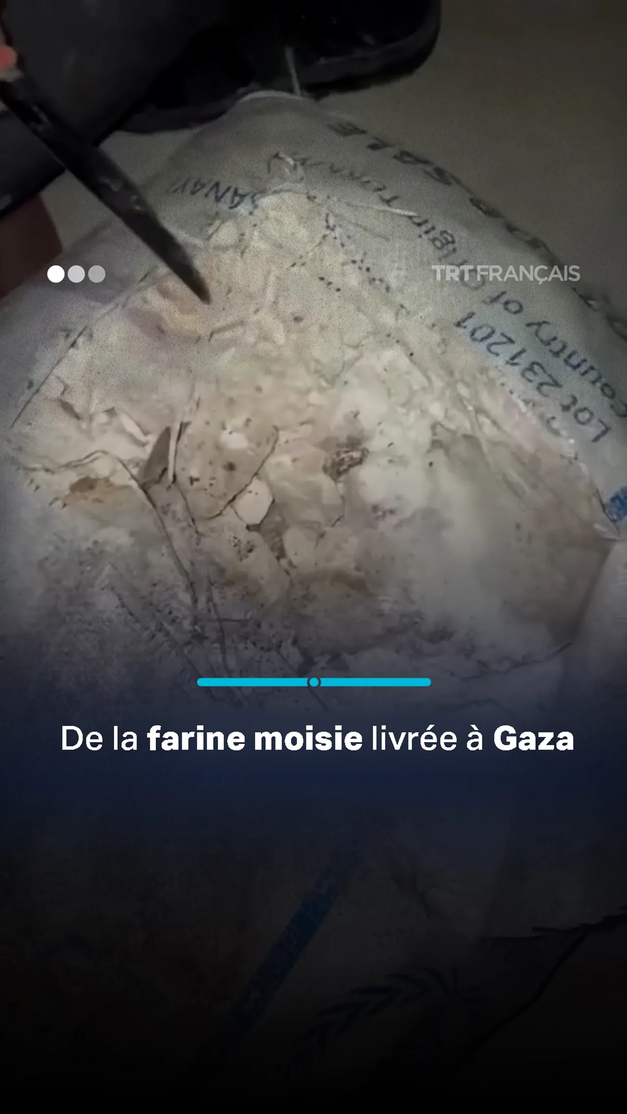 Une famille palestinienne montre de la farine moisie distribuée comme aide alimentaire