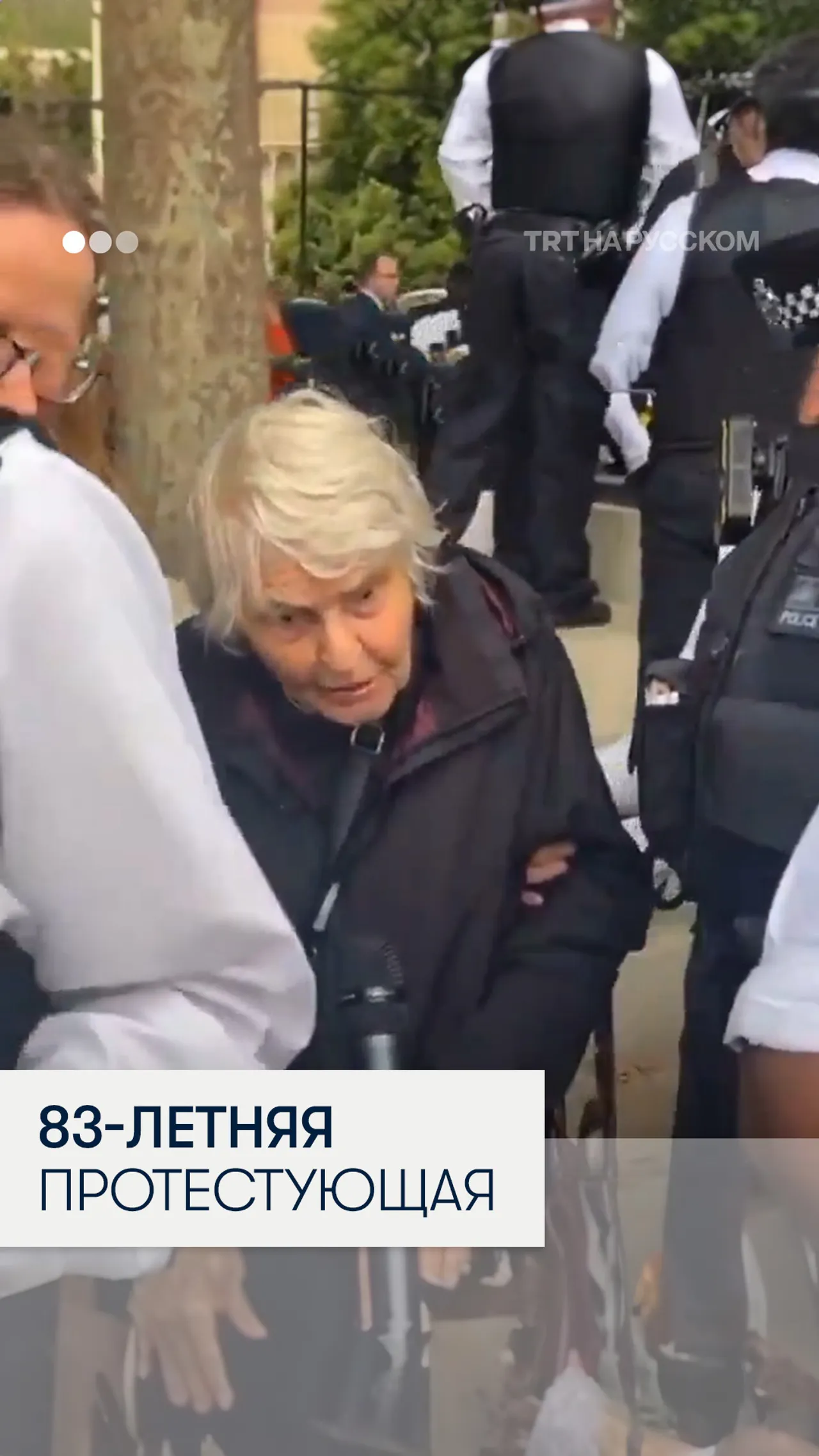 83-летняя женщина-священник арестована за поддержку организации Palestine Action