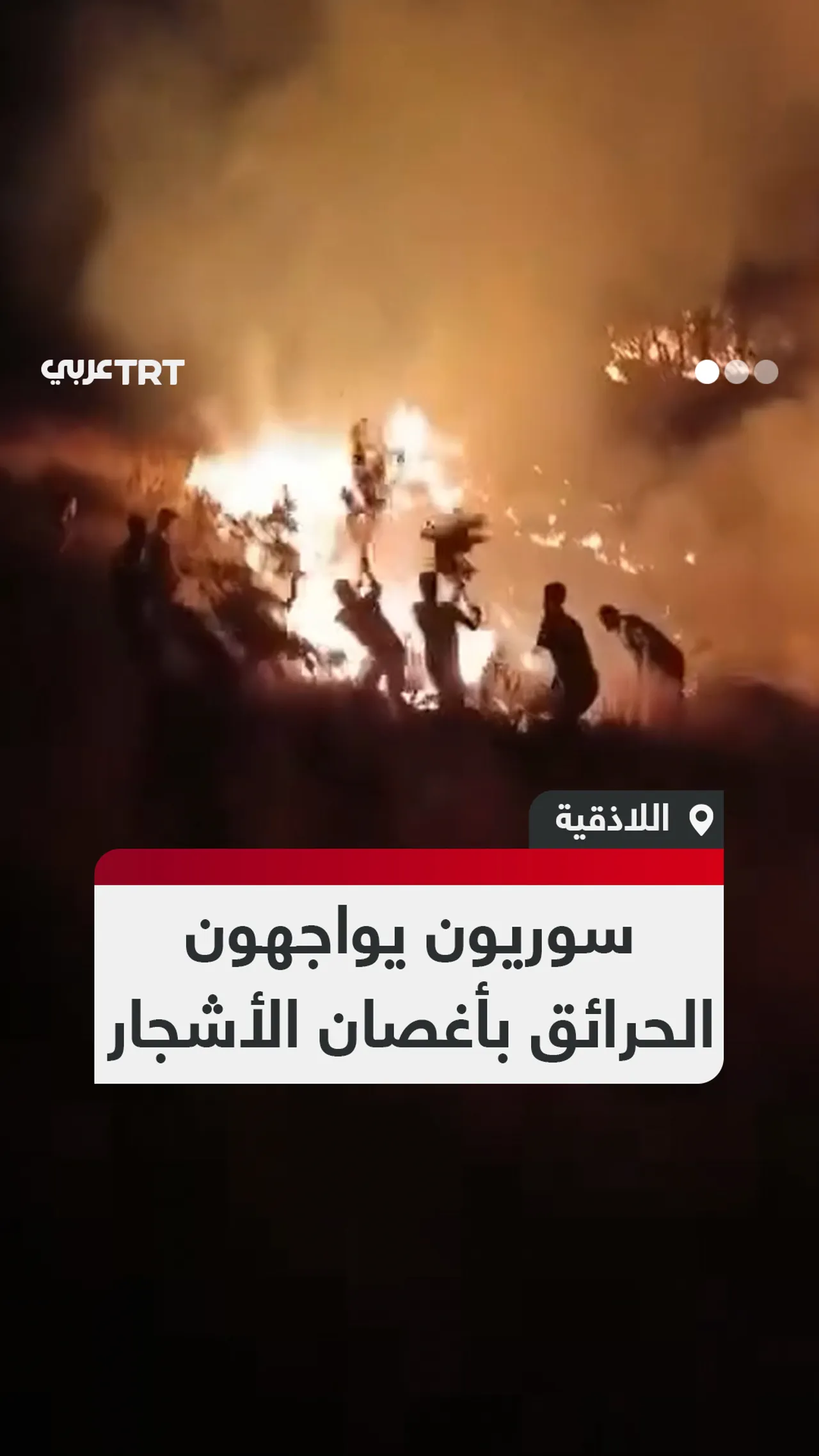 سوريون يواجهون
الحرائق بأغصان الأشجار