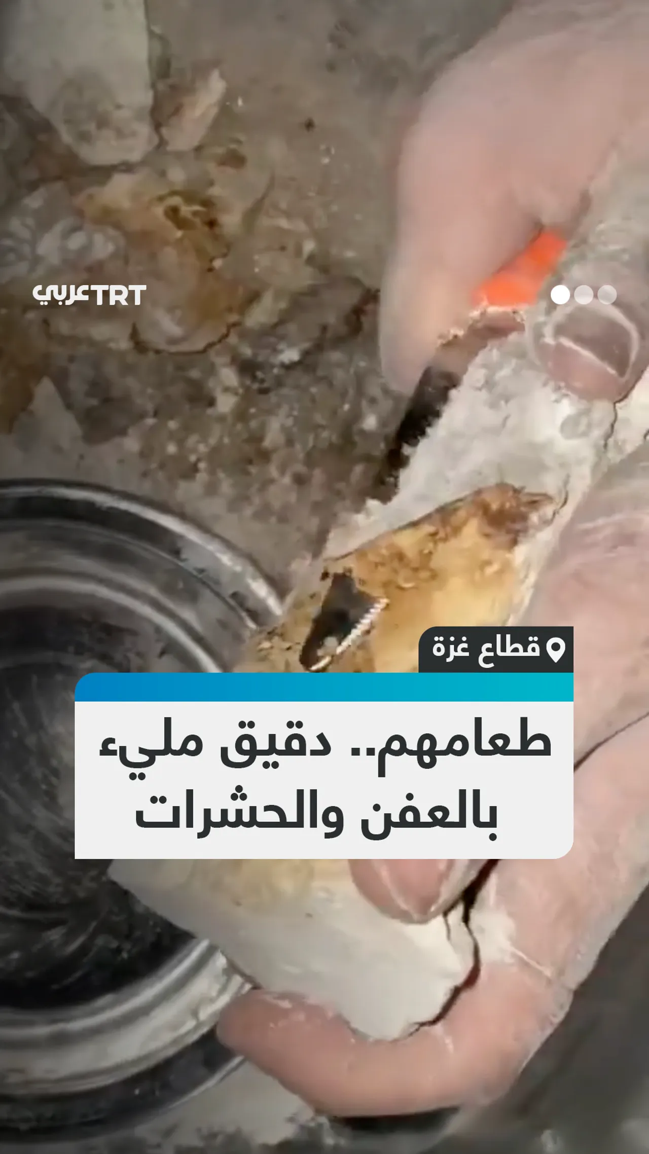طعامهم.. دقيق مليء
بالعفن والحشرات
