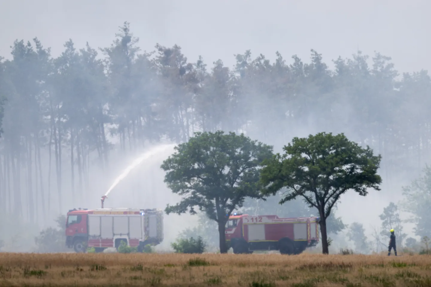 Waldbrand in der Gohrischheide - Orte weiter in Gefahr
