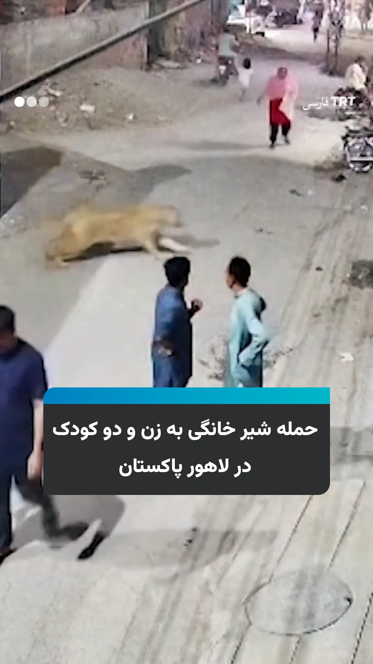 حمله شیر خانگی به زن و دو کودک در لاهور پاکستان