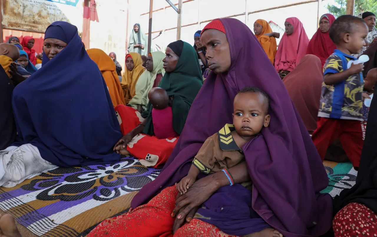 US halts government aid to Somalia amid food theft claims
