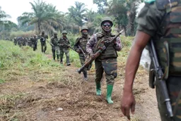 RDC : L’armée congolaise et ougandaise détruisent plusieurs bases des terroristes ADF en Ituri