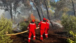 22 vatra zjarri të raportuara në Shqipëri, pesë ende aktive
