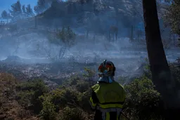 Wildfire in France shuts down Marseille airport, halts trains