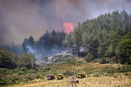 Incendies dans le sud de la France : le feu atteint Marseille, l'aéroport fermé