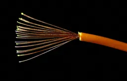 Copper prices hit historic peak after Trump's 50% tariff warning