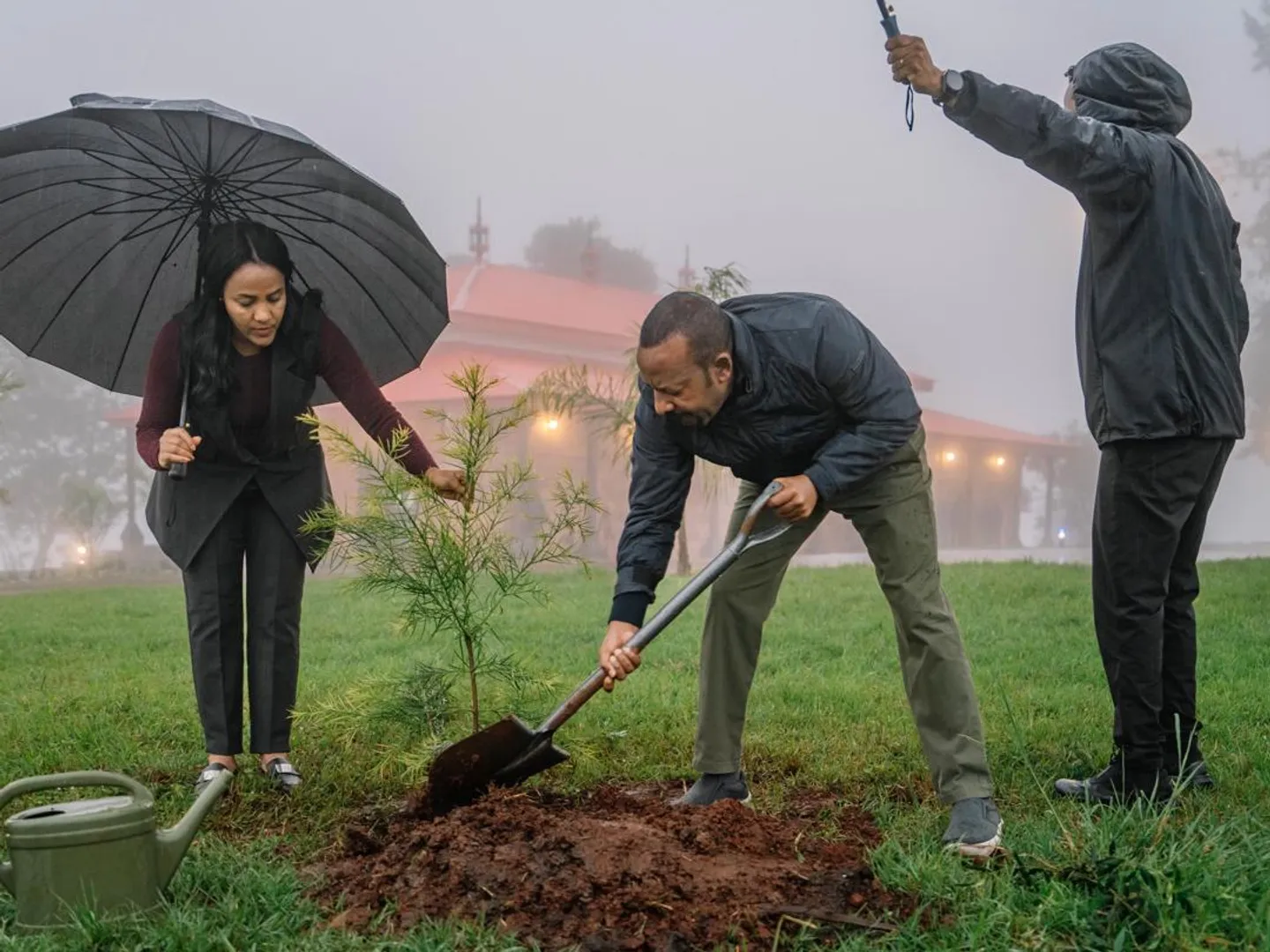 Ethiopia yapanda miti milioni 700 kwa siku moja