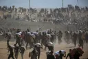 Gaza: des tirs israéliens lors de distributions alimentaire font plus de 1 300 morts