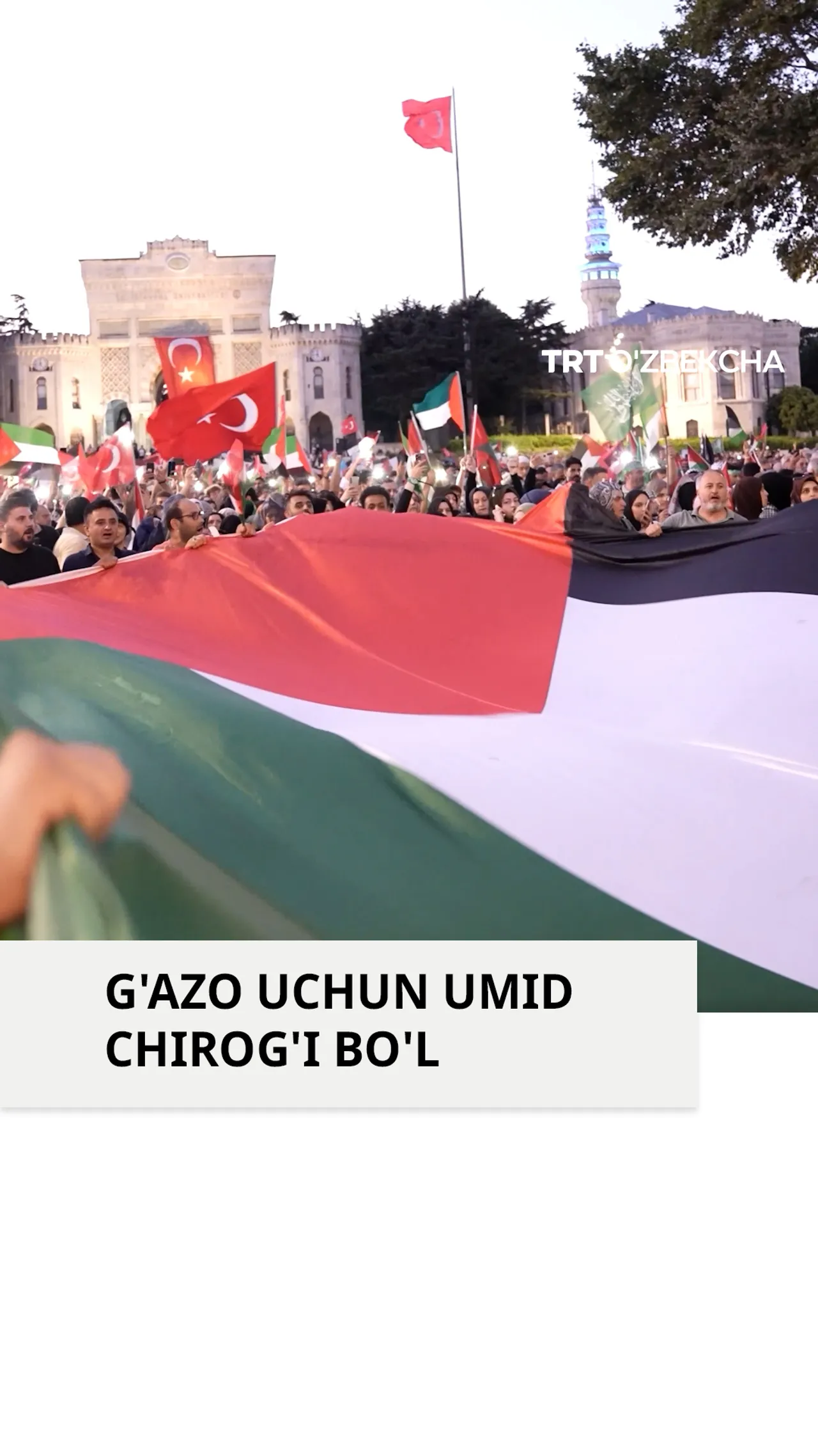 O'n minglab Falastin tarafdorlari Istanbulda G'azo bilan birdamlik namoyishiga chiqdi
